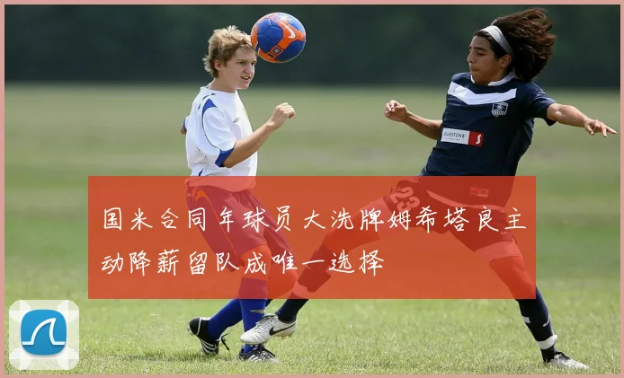 国米合同年球员大洗牌姆希塔良主动降薪留队成唯一选择