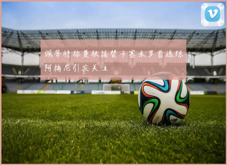 佩蒂特称曼联接替卡塞米罗首选琼阿梅尼引发关注